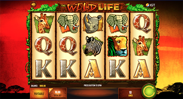 Wild Life Slot